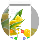 Theme for Lava Iris 404e Tulips Wallpaper APK