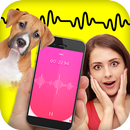 Dog Translator APK