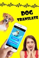 Dog Translator Affiche