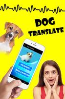 Dog Translator الملصق