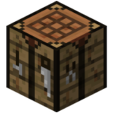 Craft Checker icon