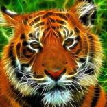 Tiger Bells Puzzles Game