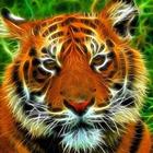 Icona Tiger Bells Puzzles Game