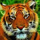 Tiger Bells Puzzles Game icône