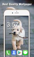 Labrador Retriever Live Wallpapers HD скриншот 2