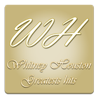 Whitney Houston - All Music icône