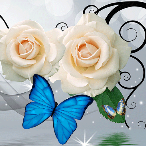Белая роза Бабочка