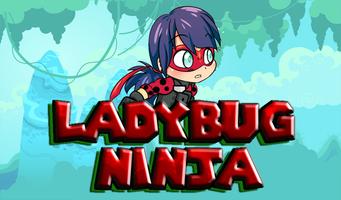Adventure Ladybug Ninja World Poster
