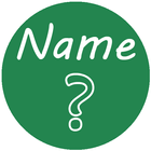 What Does Your Name Say-Hindi icône