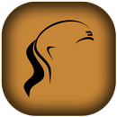 Chanakya Niti Hindi Complete APK