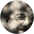Mahatma Gandhi Fireflies LWP icône