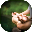 Sri Sri Knowledge Sheet APK