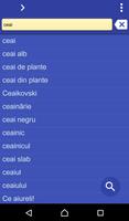 Romanian English dictionary পোস্টার