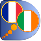 French Irish dictionary icon