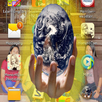 Philippine History APK