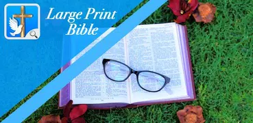 Large Print Bible