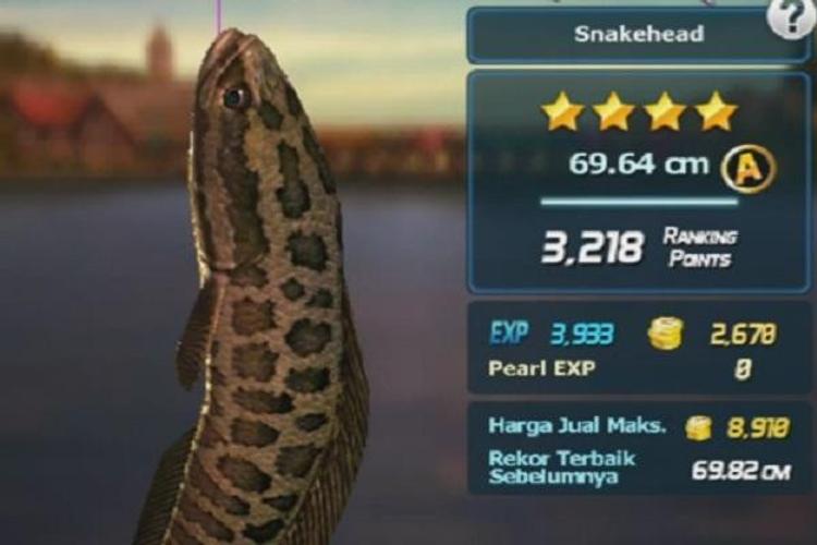 Cheats ACE FISHING WILD CATCH APK for Android Download