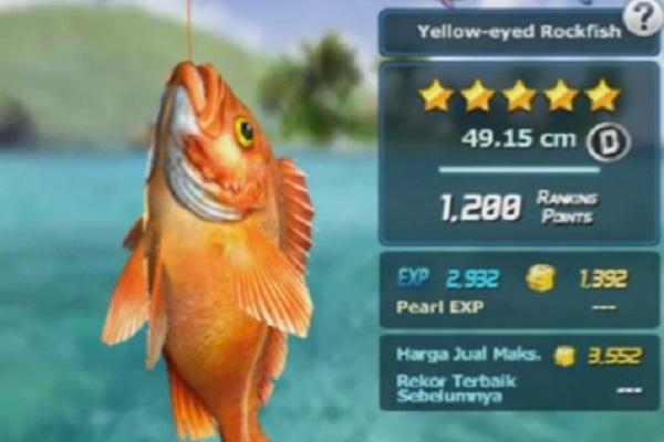 Cheats ACE FISHING WILD CATCH APK for Android Download