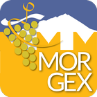 Discover Morgex أيقونة