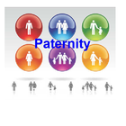 All About Paternity иконка