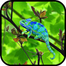 Chameleon Colors Touch APK
