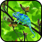 Chameleon Colors icône