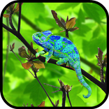 Chameleon Colors Touch
