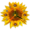 Sunflower Clock APK