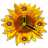 Sunflower Clock APK