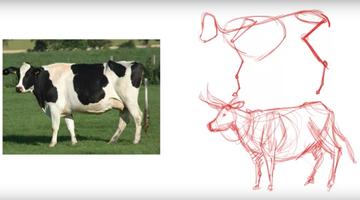 Tải xuống APK ✏️How to draw animals easy step by step lessons cho Android Tải xuống APK ✏️How to draw animals easy step by step lessons cho Android