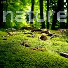 Nature Music ONLINE иконка
