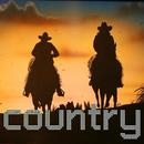 Country & Western MUSIC Online APK