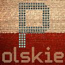 Polskie Music ONLINE APK