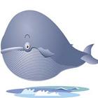 Memes sobre la ballena azul icône