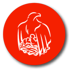 Лезги Суалар icon