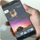 Mouse on Screen Scary APK
