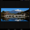 learn Chinese course online APK