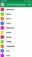 Learn CSS Programming Affiche