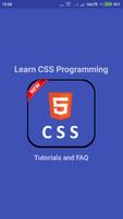 Learn CSS Programming ポスター