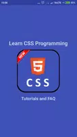 Learn CSS Programming Poster