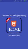 Learn HTML5 Programming Affiche