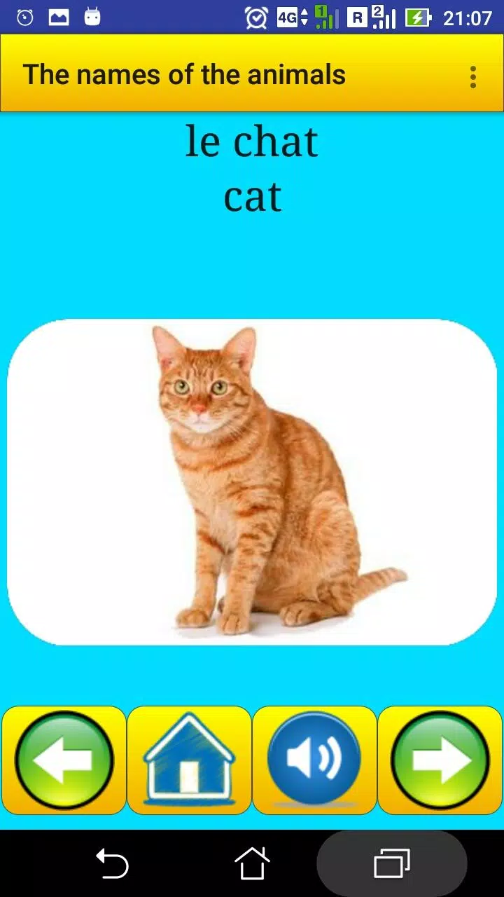 Learning French Language (animals names) APK for Android Download