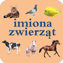 Learning Polish Language (animals names) APK