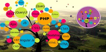 Learn Web Development