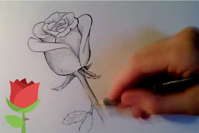 Qualquer pessoa pode desenhar flores: Tutorial de desenho passo-a-passo  fácil para crianças, adolescentes e iniciantes. Como aprender a desenhar  flores. Livro 1 (Guia do aspirante a artista 5) eBook : Smith, Julia