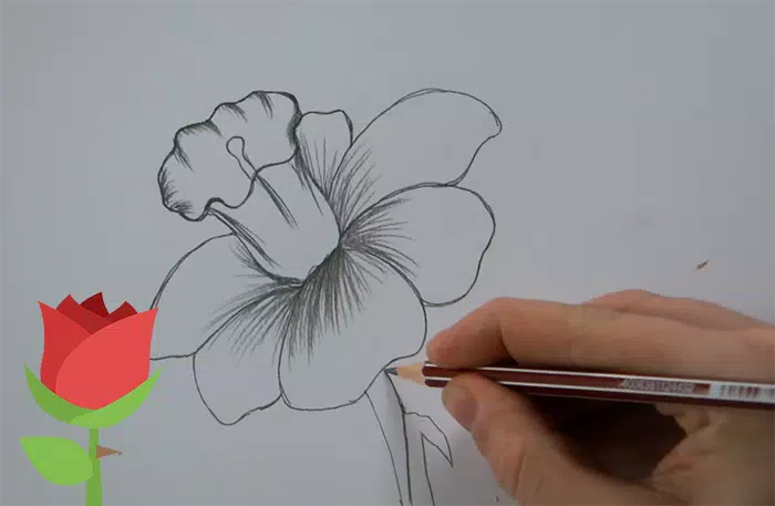 Qualquer pessoa pode desenhar flores: Tutorial de desenho passo-a-passo  fácil para crianças, adolescentes e iniciantes. Como aprender a desenhar  flores. Livro 1 (Guia do aspirante a artista 5) eBook : Smith, Julia