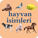 Learning Turkish Language (animals names) APK