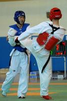 Aprenda movimentos de taekwondo 🙅 Cartaz