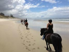 Aprenda a andar a cavalo imagem de tela 2