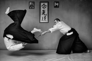 Learn Aikido movements 🥋 poster